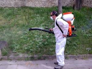 Предстои пръскане срещу комари в община Сливен